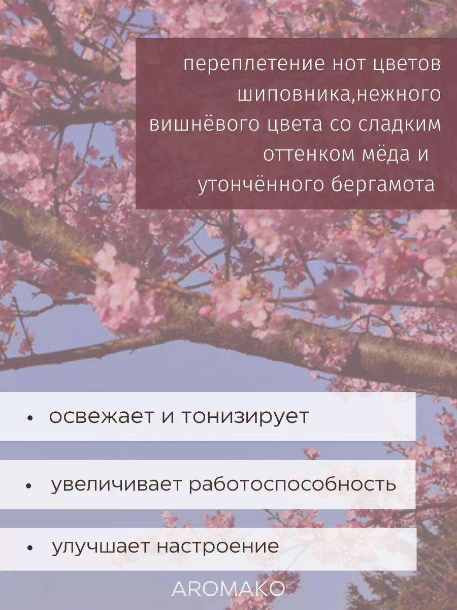 Аромасвеча AromaKo «Цветущая сакура», 50 г
