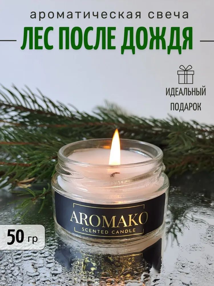 Аромасвеча AromaKo «Лес после дождя», 50 г
